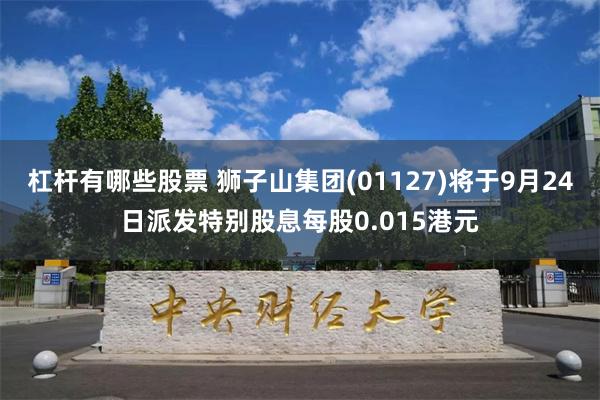 杠杆有哪些股票 狮子山集团(01127)将于9月24日派发特别股息每股0.015港元