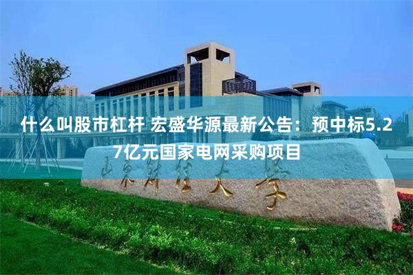 什么叫股市杠杆 宏盛华源最新公告：预中标5.27亿元国家电网采购项目