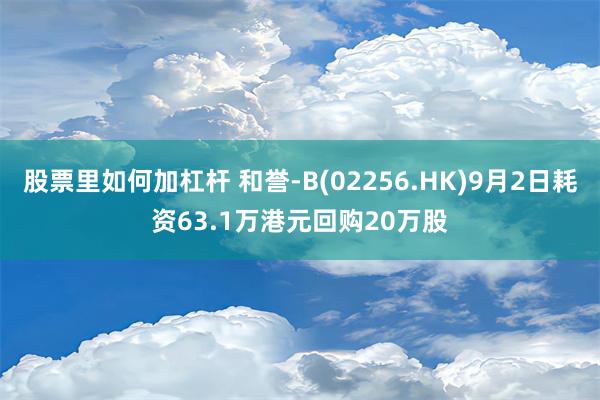 股票里如何加杠杆 和誉-B(02256.HK)9月2日耗资63.1万港元回购20万股