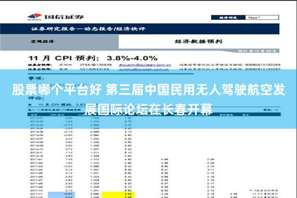 股票哪个平台好 第三届中国民用无人驾驶航空发展国际论坛在长春开幕