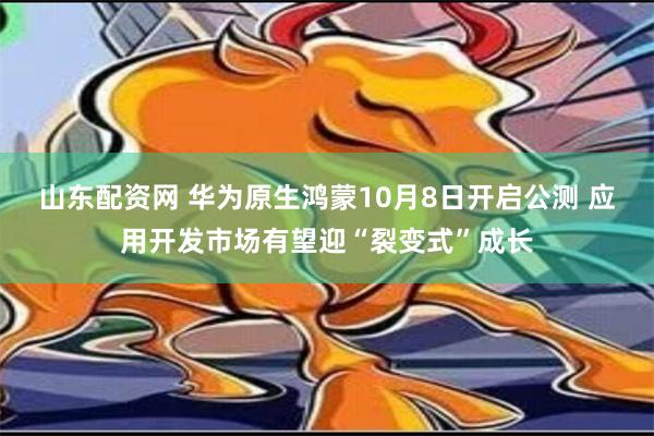 山东配资网 华为原生鸿蒙10月8日开启公测 应用开发市场有望迎“裂变式”成长