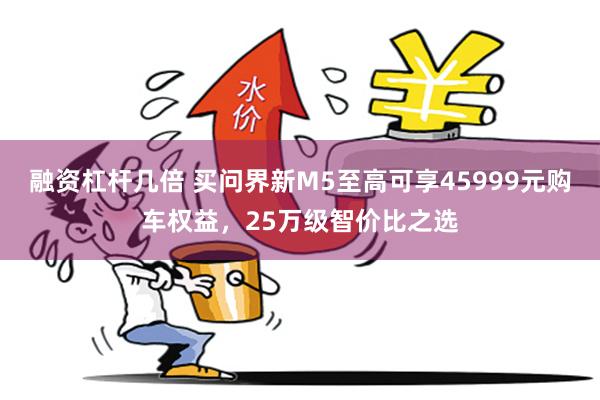 融资杠杆几倍 买问界新M5至高可享45999元购车权益，25万级智价比之选