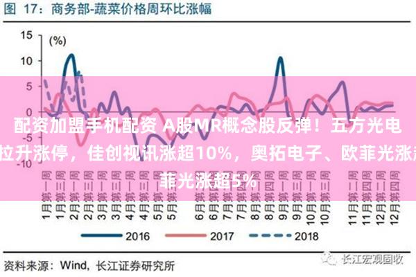 配资加盟手机配资 A股MR概念股反弹！五方光电直线拉升涨停，佳创视讯涨超10%，奥拓电子、欧菲光涨超5%