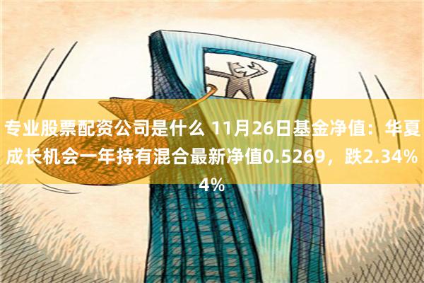 专业股票配资公司是什么 11月26日基金净值：华夏成长机会一年持有混合最新净值0.5269，跌2.34%