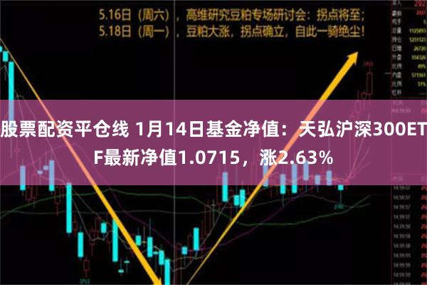 股票配资平仓线 1月14日基金净值：天弘沪深300ETF最新净值1.0715，涨2.63%