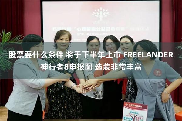 股票要什么条件 将于下半年上市 FREELANDER神行者8申报图 选装非常丰富