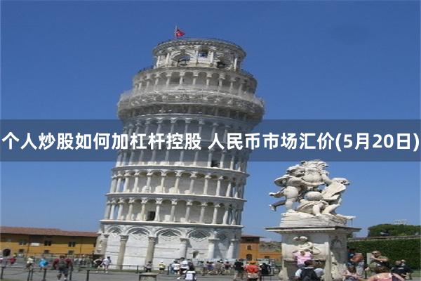 个人炒股如何加杠杆控股 人民币市场汇价(5月20日)