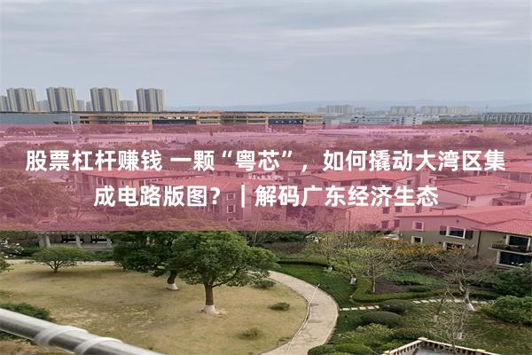股票杠杆赚钱 一颗“粤芯”，如何撬动大湾区集成电路版图？｜解码广东经济生态