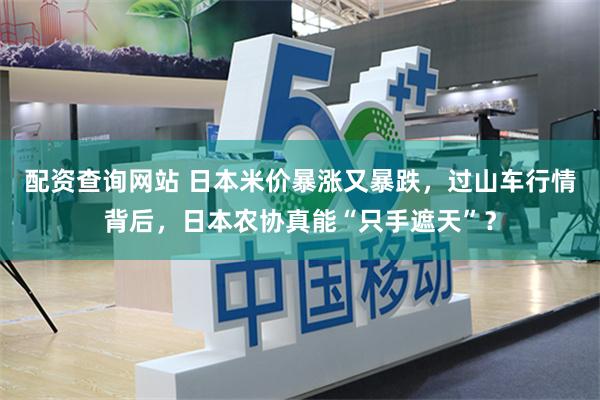配资查询网站 日本米价暴涨又暴跌，过山车行情背后，日本农协真能“只手遮天”？